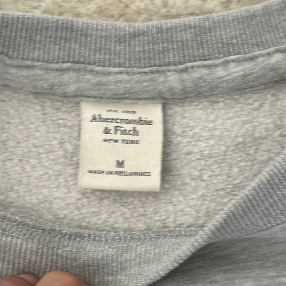 Abercrombie & Fitch Oversized Gray Hoodie Size M - Picture 3 of 9